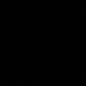 Meet your Posher, Miguelina